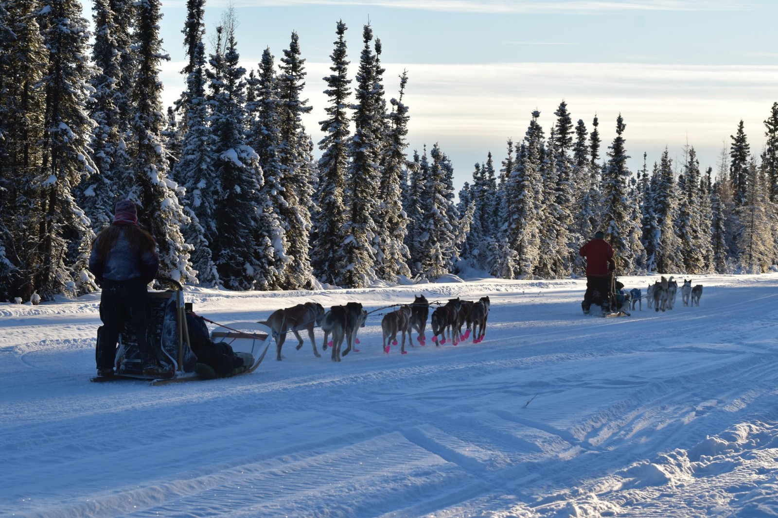 Rod’s Alaskan Guide Service Winter Dog Sledding,…